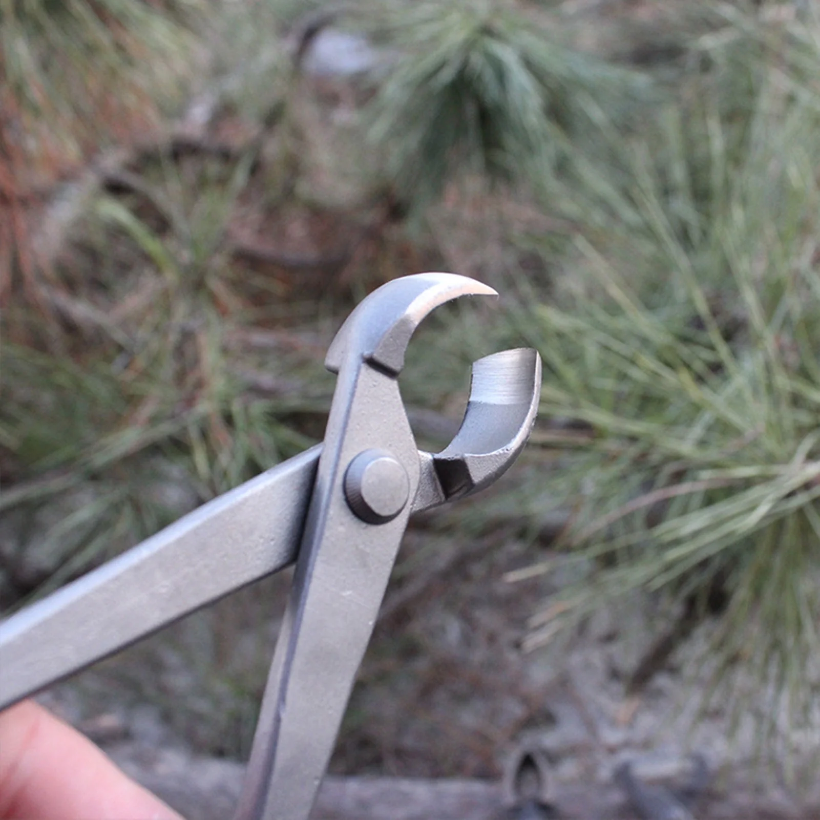 Bonsai Knob Cutter Concave Edge Cutter Root Cutting Pliers Ball Shear Scissors Landscape Modeling Garden Bonsai Tools 210mm C