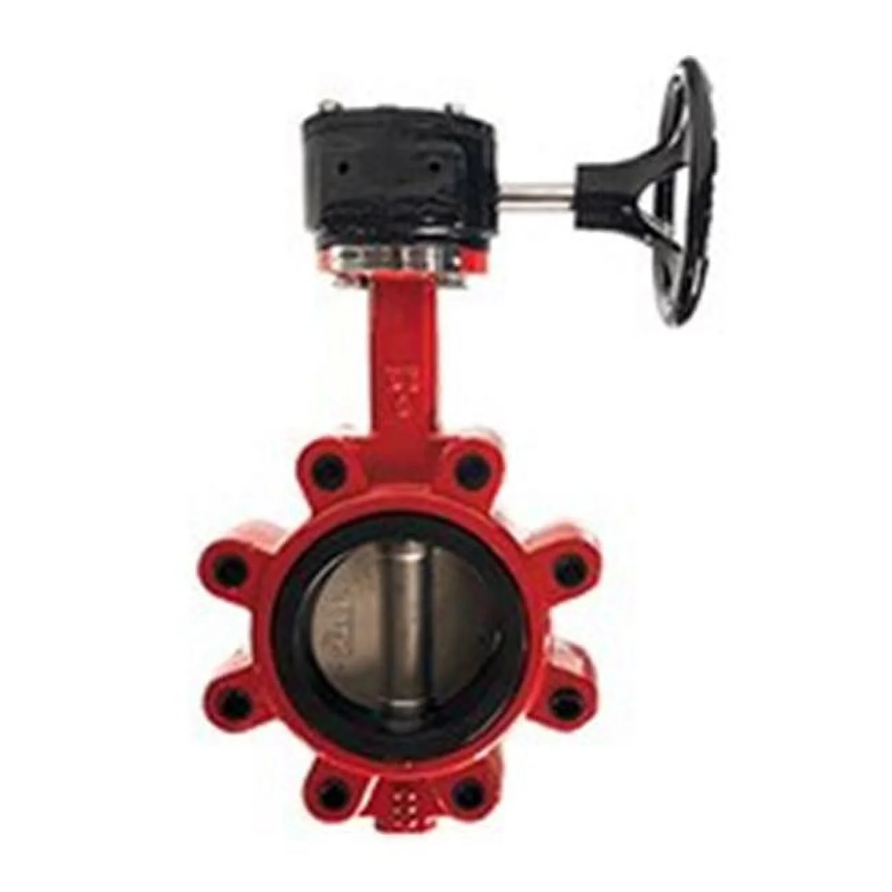 Midland Industries  2.5 in. dia. Stainless Steel Lug Style & Gear Operated Butterfly Valve with Disc-EPDM