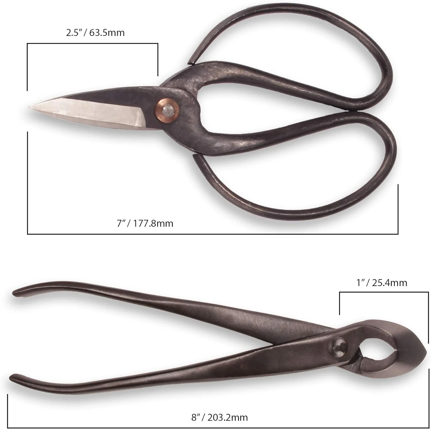 Bonsai Basics Set - 8