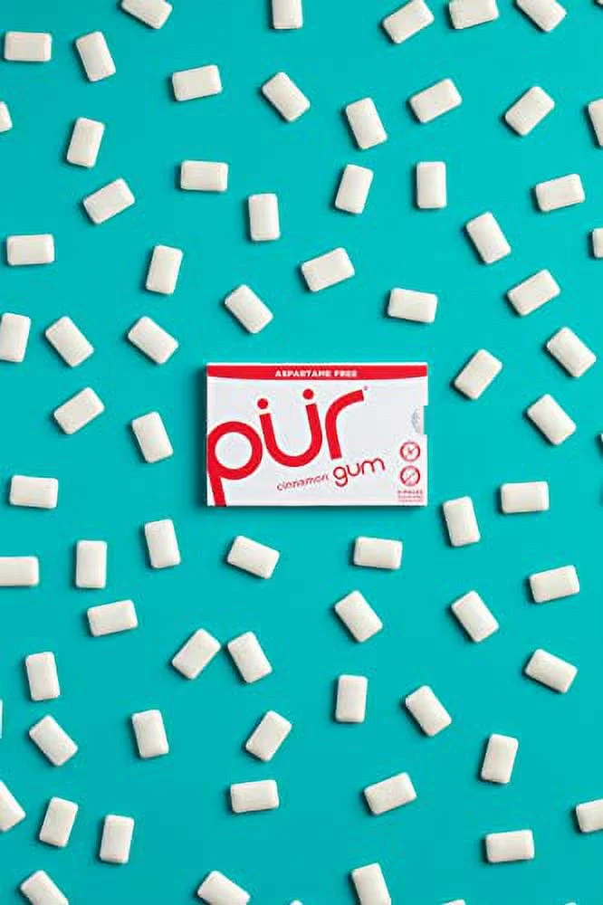 PUR Gum | Sugar Free Chewing Gum | 100% Xylitol | Vegan, Aspartame Free, Gluten Free & Keto Friendly | Natural Cinnamon Flavored Gum, 9 Pieces (Pack of 12)