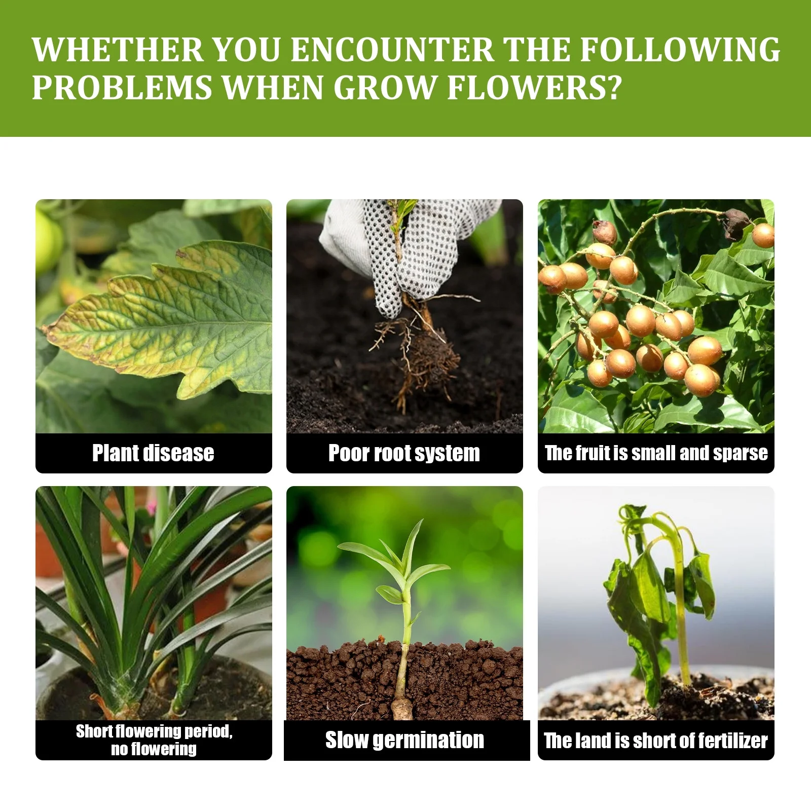 Tinyansi Plant Nutrient Solution, Plant Growth Nutrient Flower Plant Rooting Concentrated Growth Promoting Fertilizer 50ml