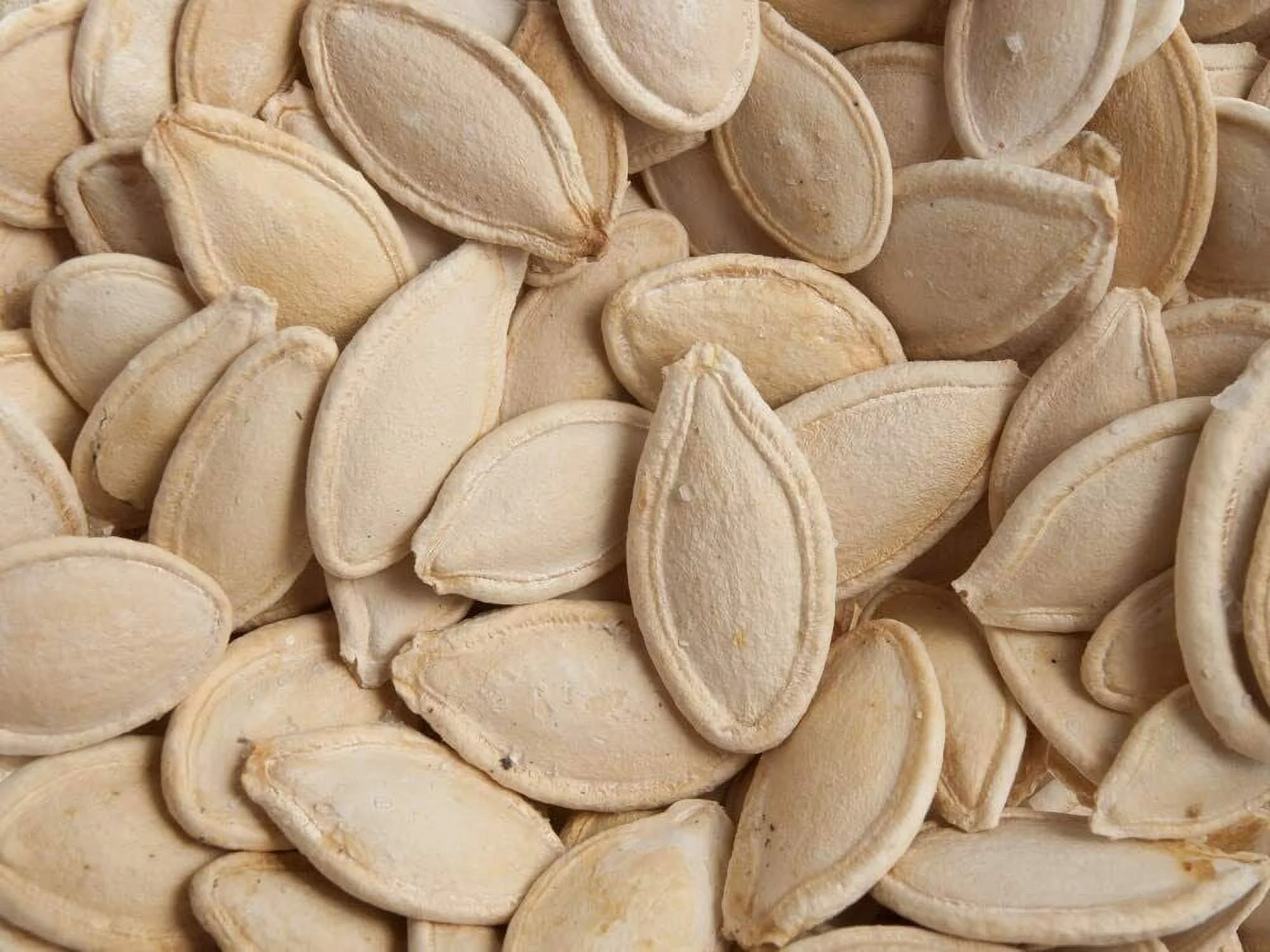 10 Partial Eclipse Summer Squash Seeds to Grow Colorful Mini Pumpkins