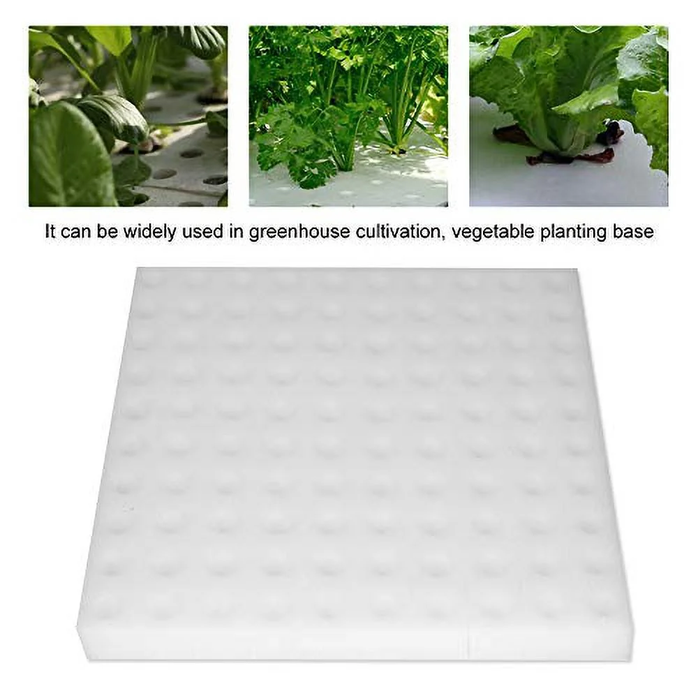 Oubit 100 Pack Hydroponic Sponge, Planting Tool Square Seedling Sponge Greenhouse Hydroponic Sponge Hydroponic Vegetable Planting Sponge Small Bud Growth