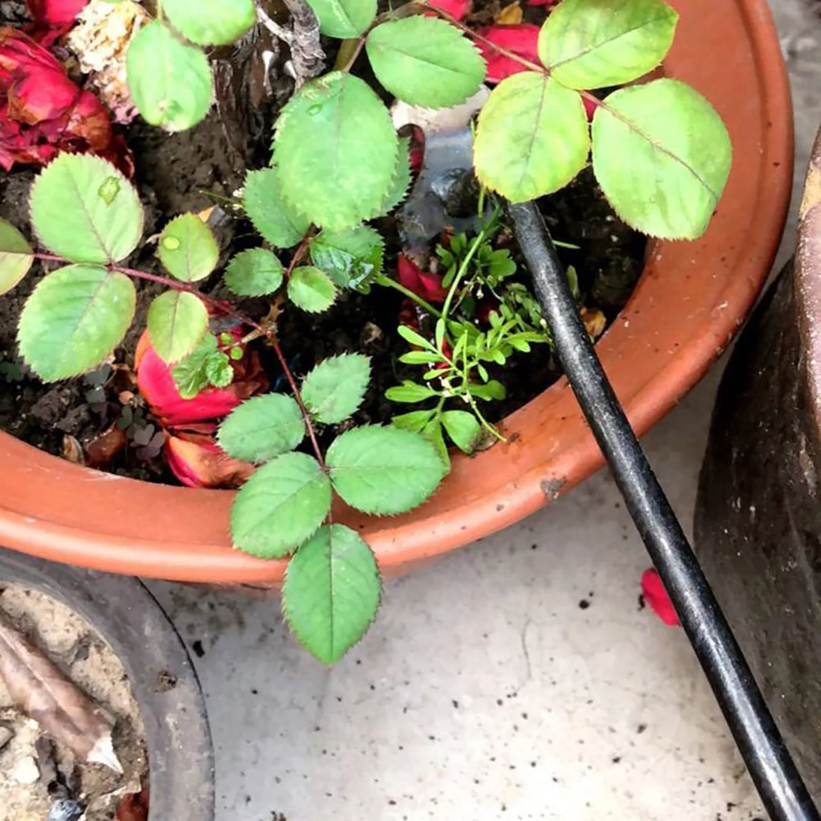 GuLuBin P1819 Hoe Weeding Artifact Rooting Weeding Tools Gardening Weeding Rake Steel Farm Tools Small Hoe Loose Soil Digging Wild Vegetables