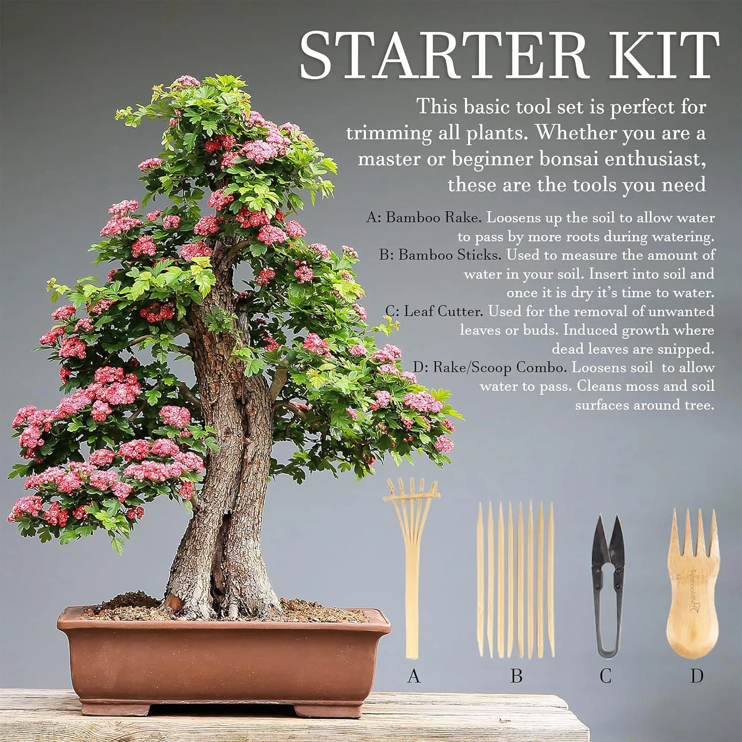 bonsai tree pruning trimming starter tool kit - leaf trimmers, and bamboo rake - 1 set