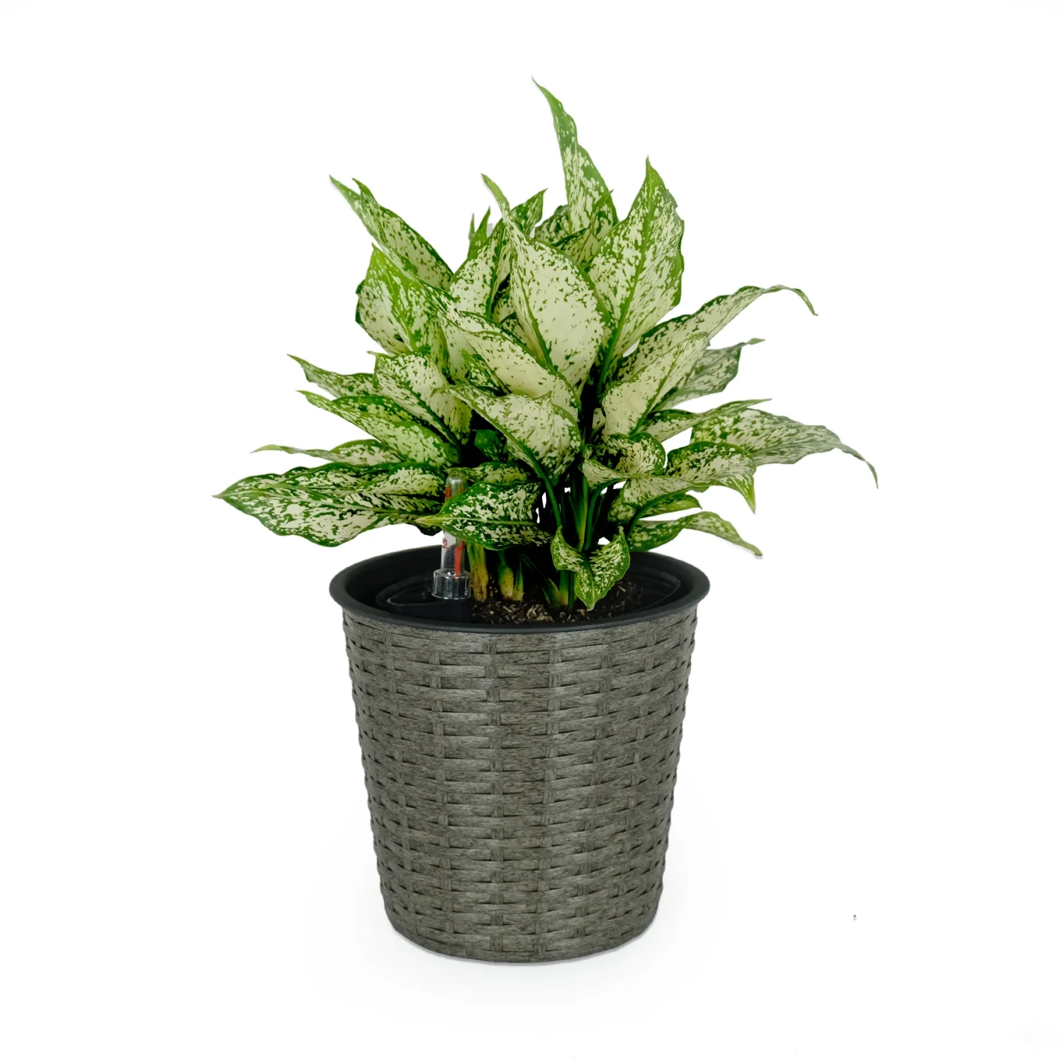 LEIYEHOOM 10.2” Self-watering Wicker Decor Planter for Indoor and Outdoor - Round - Grey