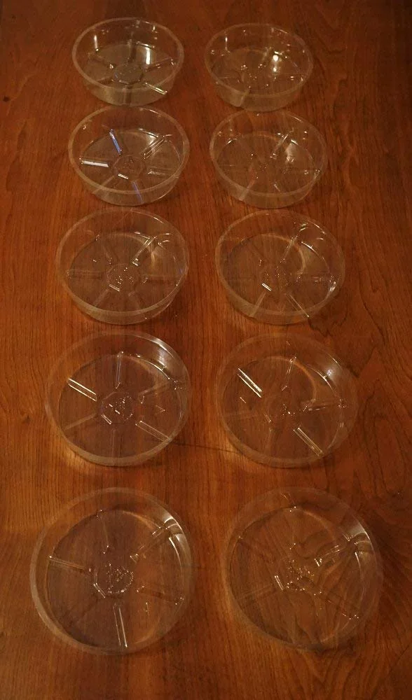 Plant Saucers (10 Pack) Clear Plastic 6 Inch for Indoor/Outdoor Garden