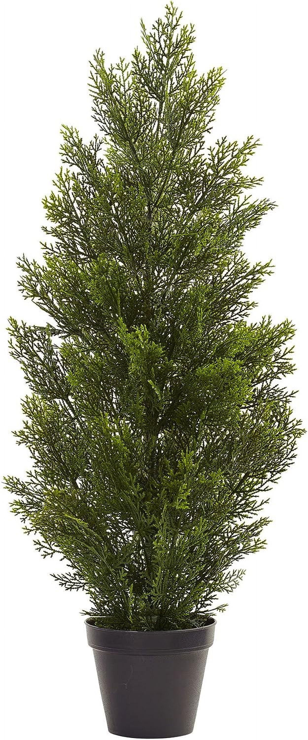 Mini Cedar Pine Tree (Indoor/Outdoor)