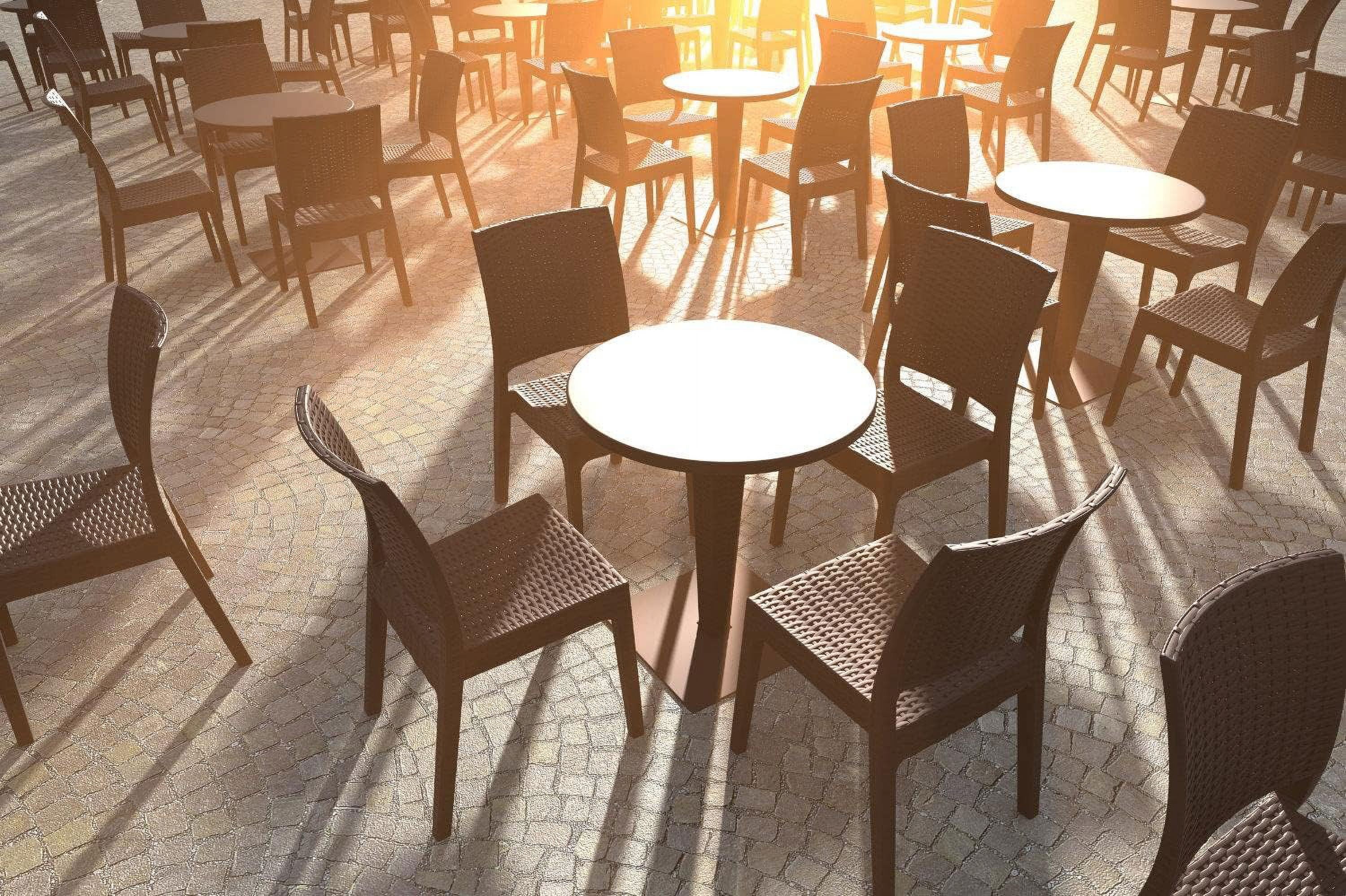 Florida Resin Wickerlook Patio Dining Chair In Brown (Set Of 2)