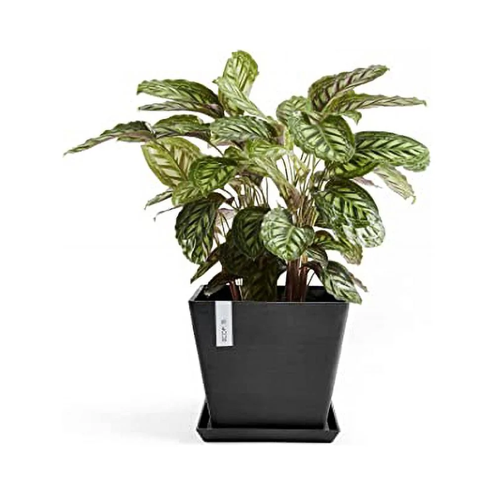 ECOPOTS Rotterdam 16IN Premium Sustainable Planter (w/Saucer)