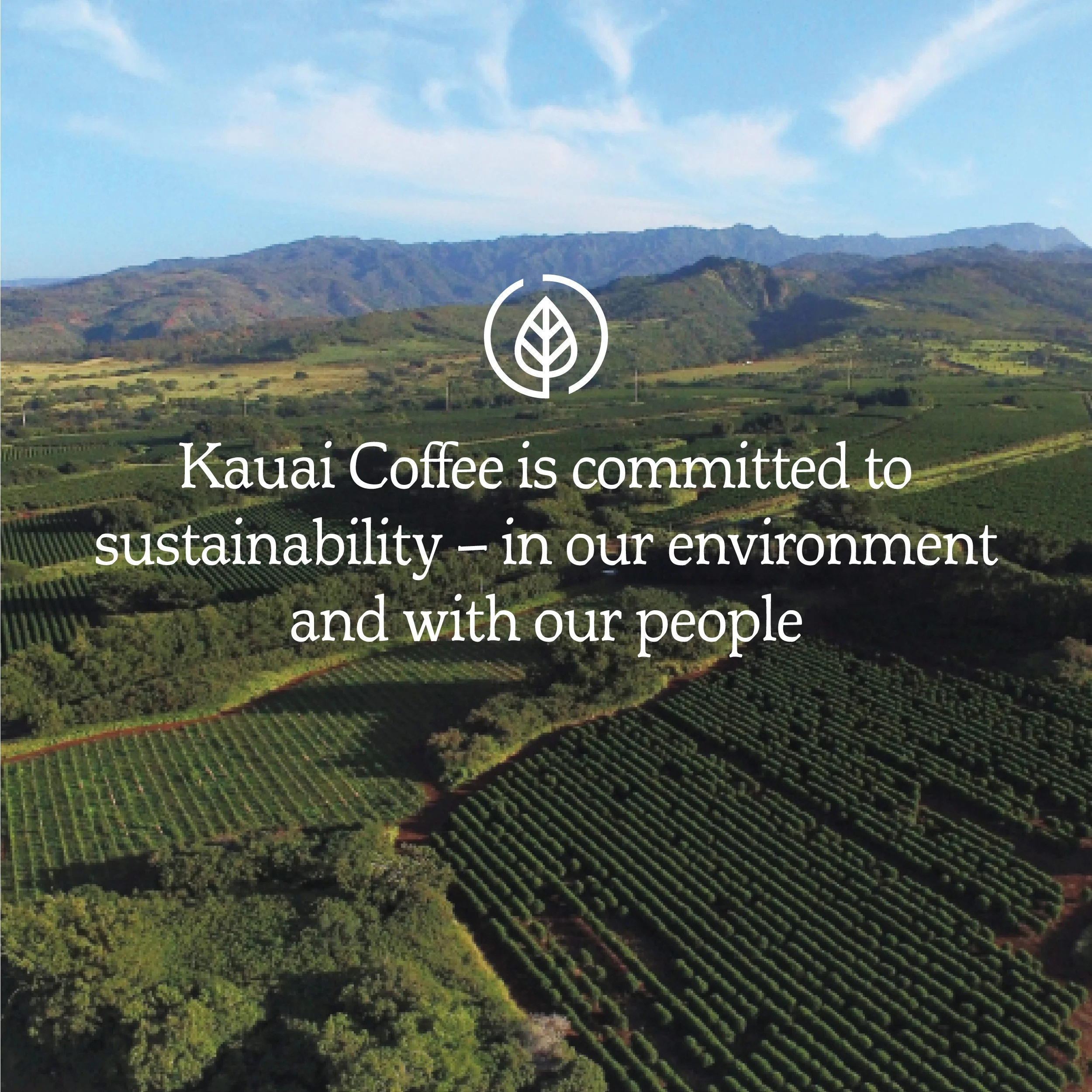 Kauai Coffee Mocha Macadamia Nut K-Cup Coffee Pods, Medium Roast, 12 Ct