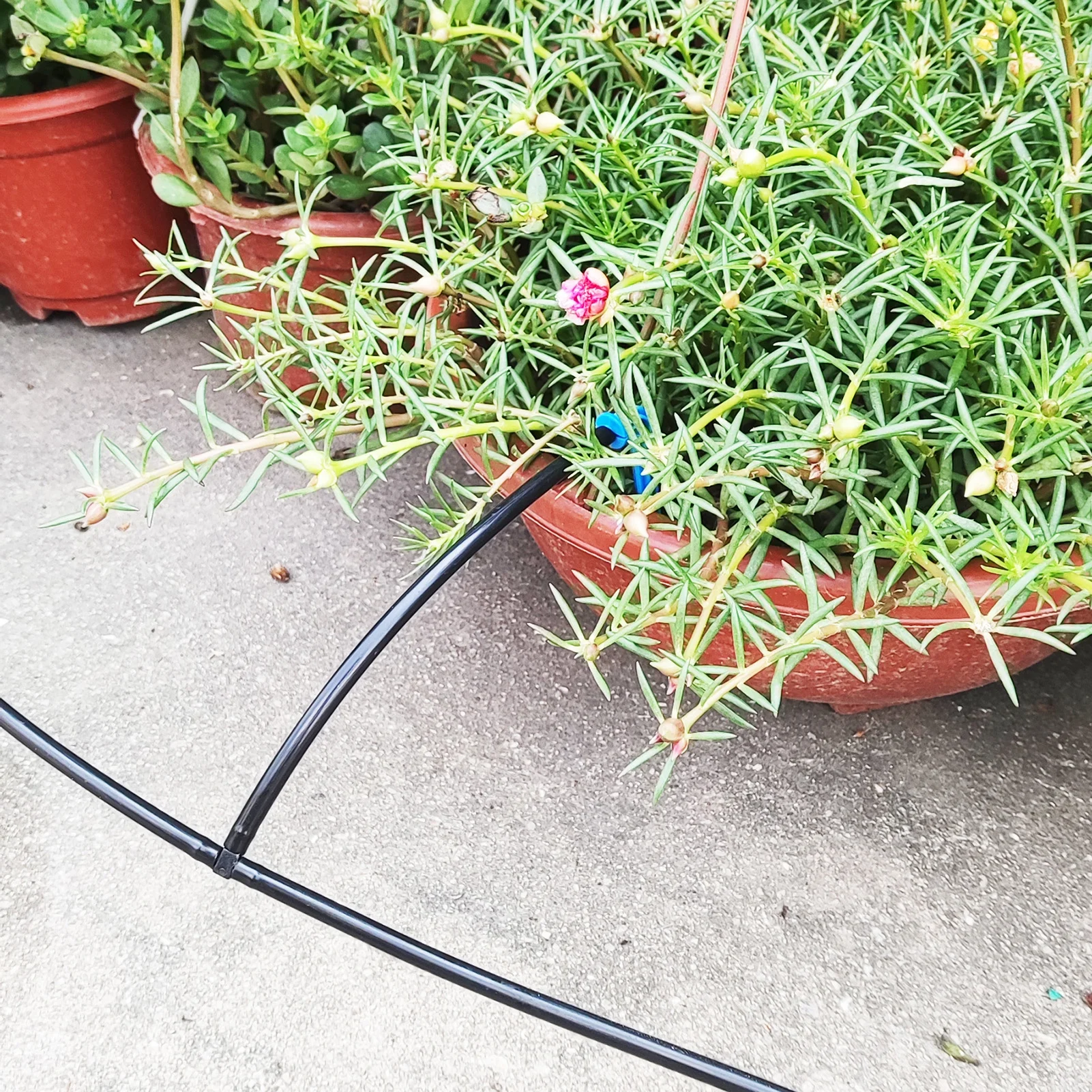 Nebublu Irrigation System,Solar Powered Drip Balcony With Water In Drip Kit With Kit With Water Solar Auto Papapi Auto Ed Drip