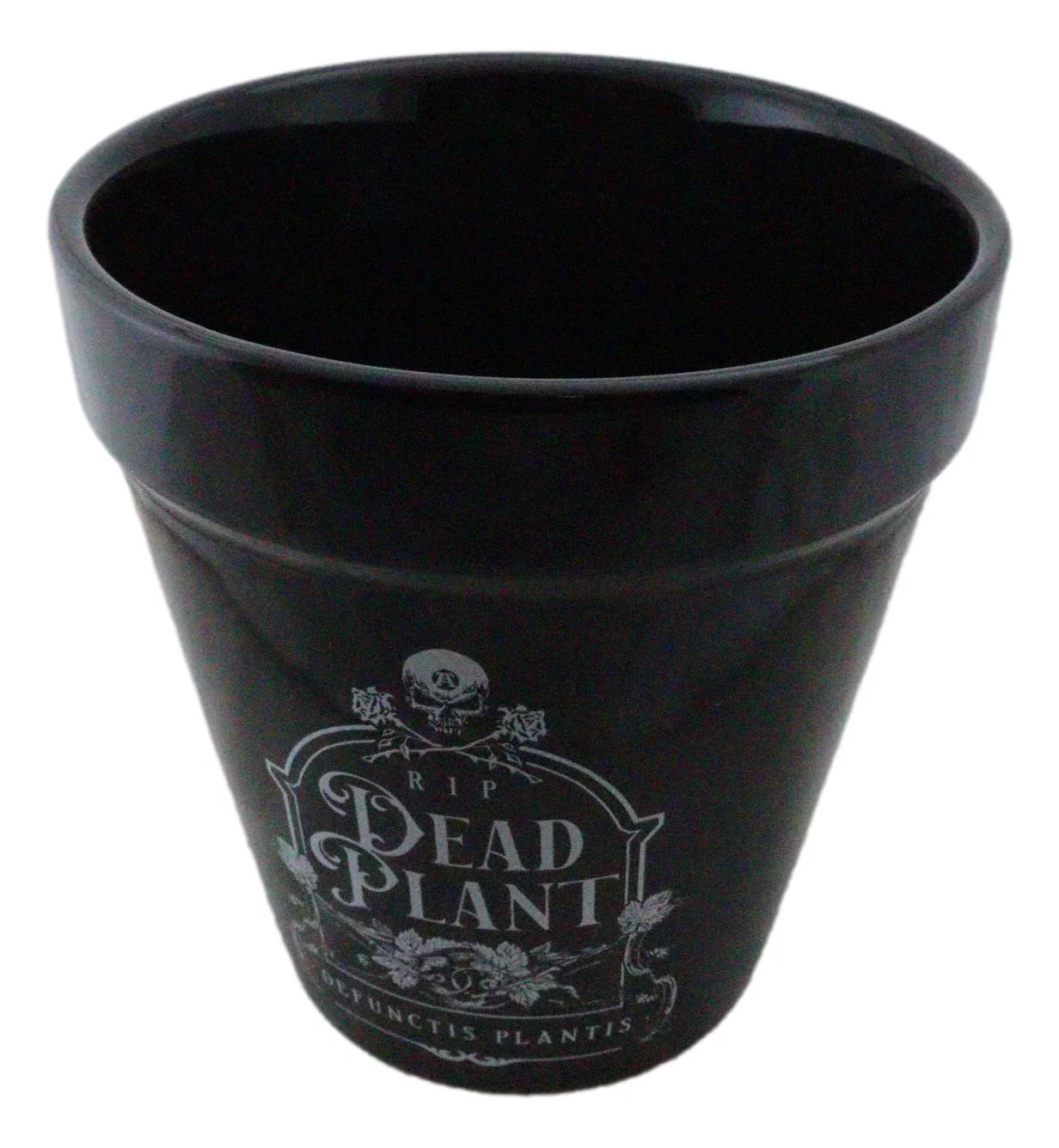 Dead Plant RIP Skull Grave Tombstone Wicca Witch Flower Herbs Planter Pot