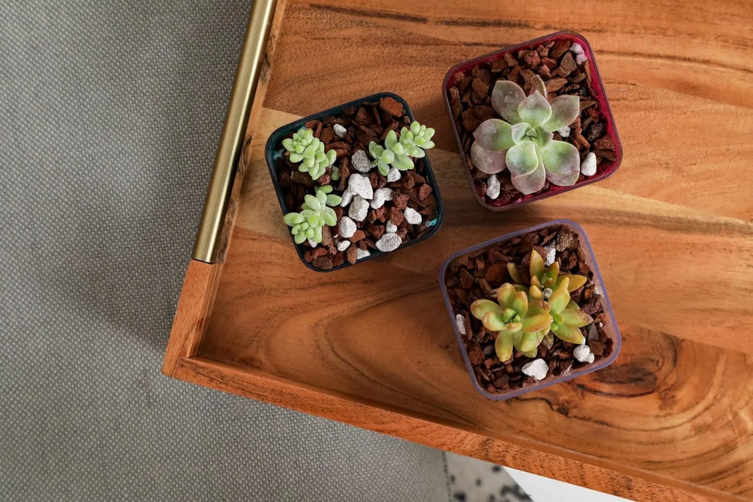 Succulent Pots, 3 Inch Small Succulent Pots - 6 Pack ()
