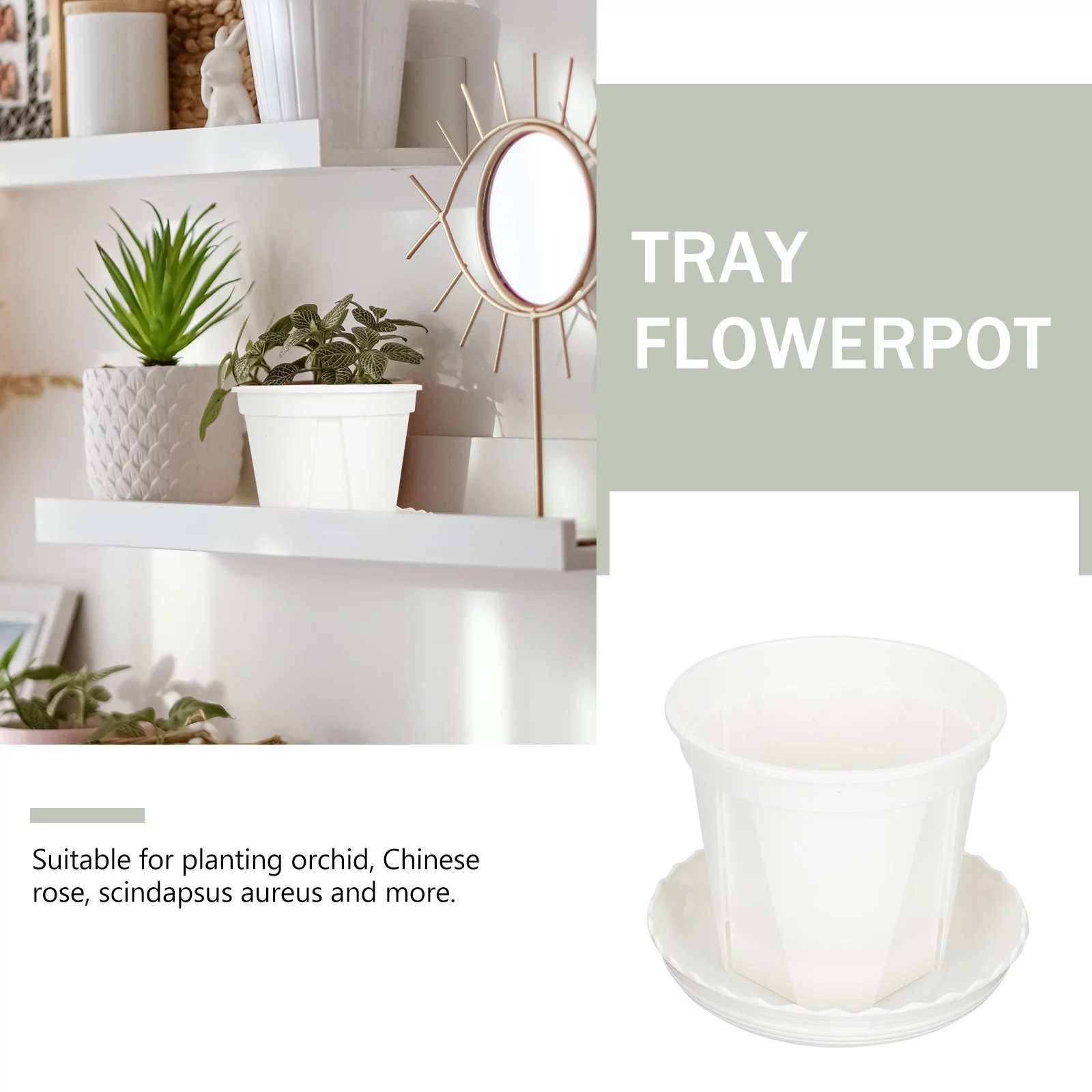 10 Sets White Root Control Pot Succulent Plants Greenery Decor Planter Pots Plastic Flowers Flowerpot Desk Pp