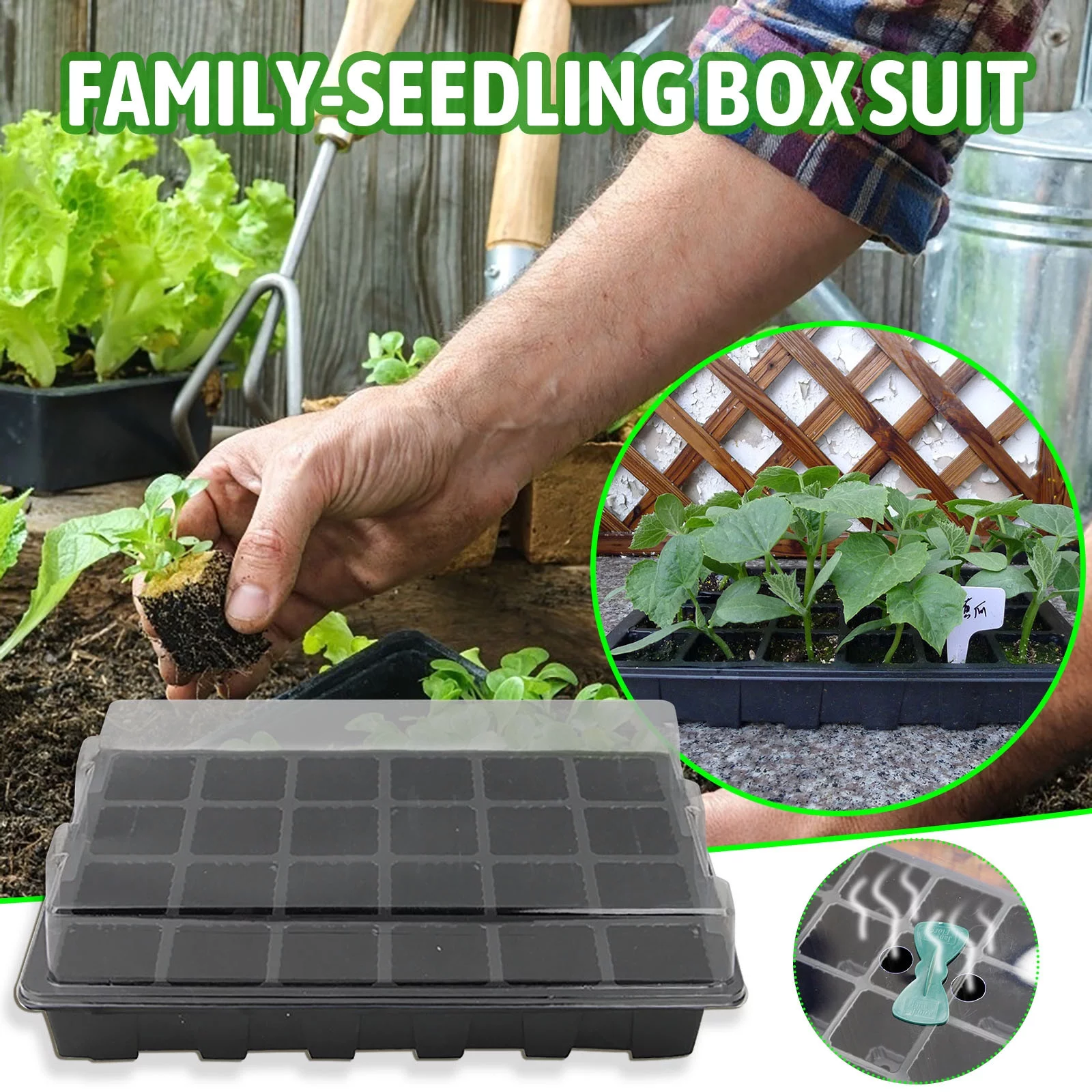 24 Cells Seed Trays Seedling Starter Tray, Humidity Adjustable Plant Starter Kit with Dome and Base Greenhouse Grow Trays Mini Propagator for Seeds Growing Starting