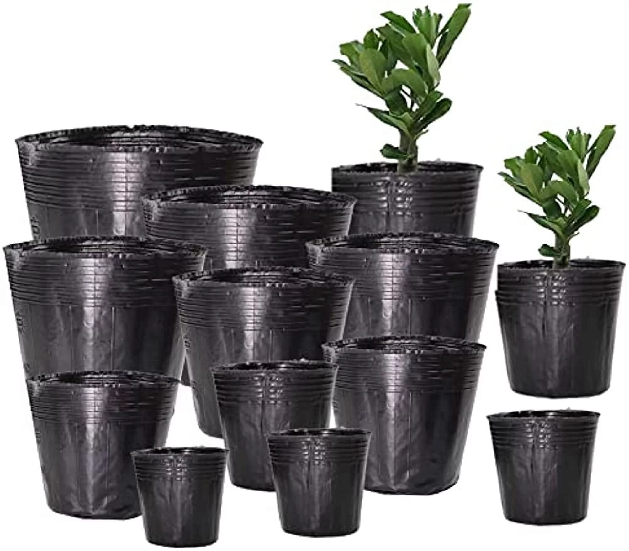 6 Inch Plastic Plants Nursery Pot/Pots Seedlings Flower Plant Container Seed Starting Pots, 60 Pcs