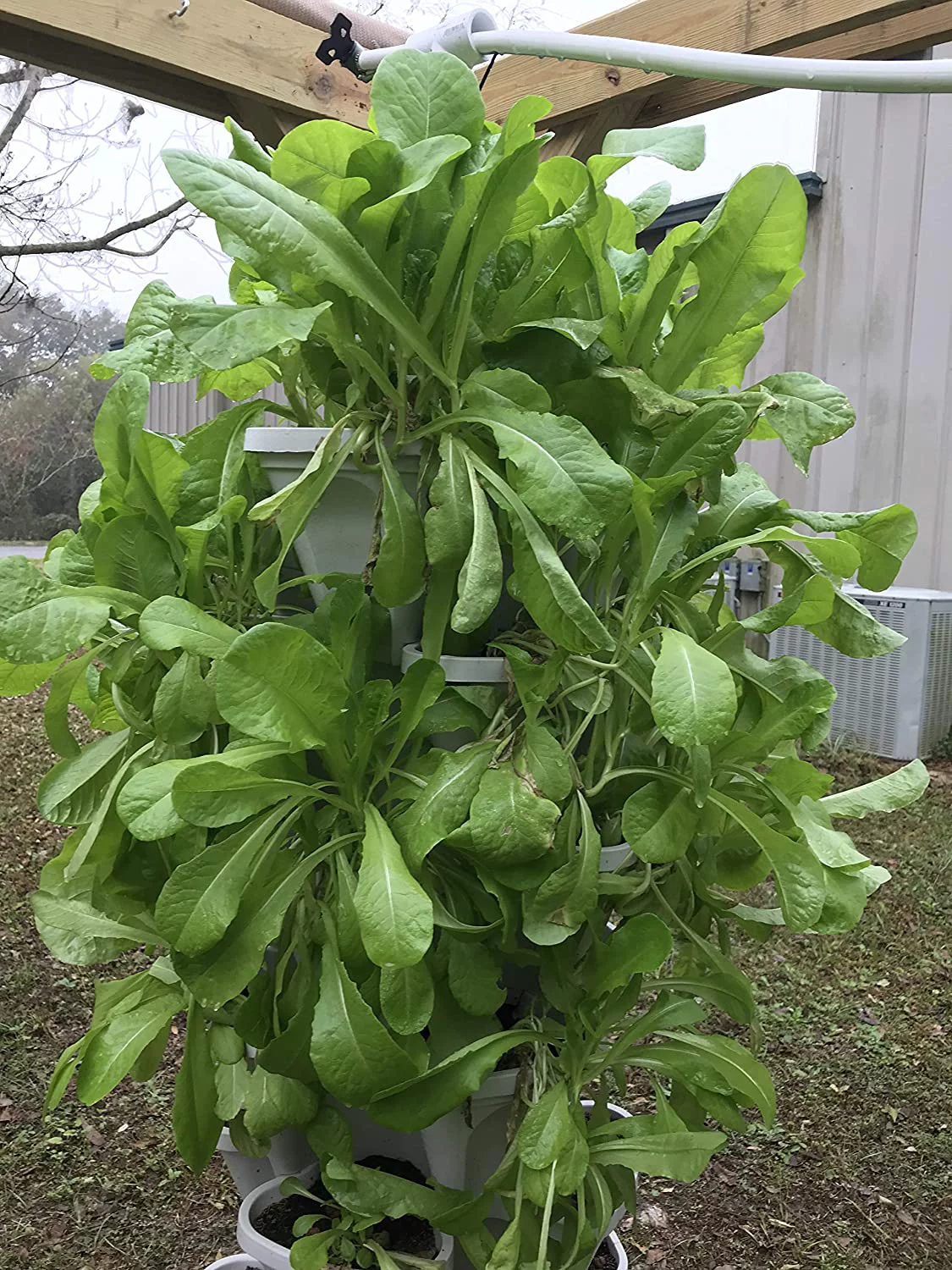 13 inch Strawberry and Herb Garden Planter - Stackable Gardening Pots with 10 Inch Saucer (Black)
