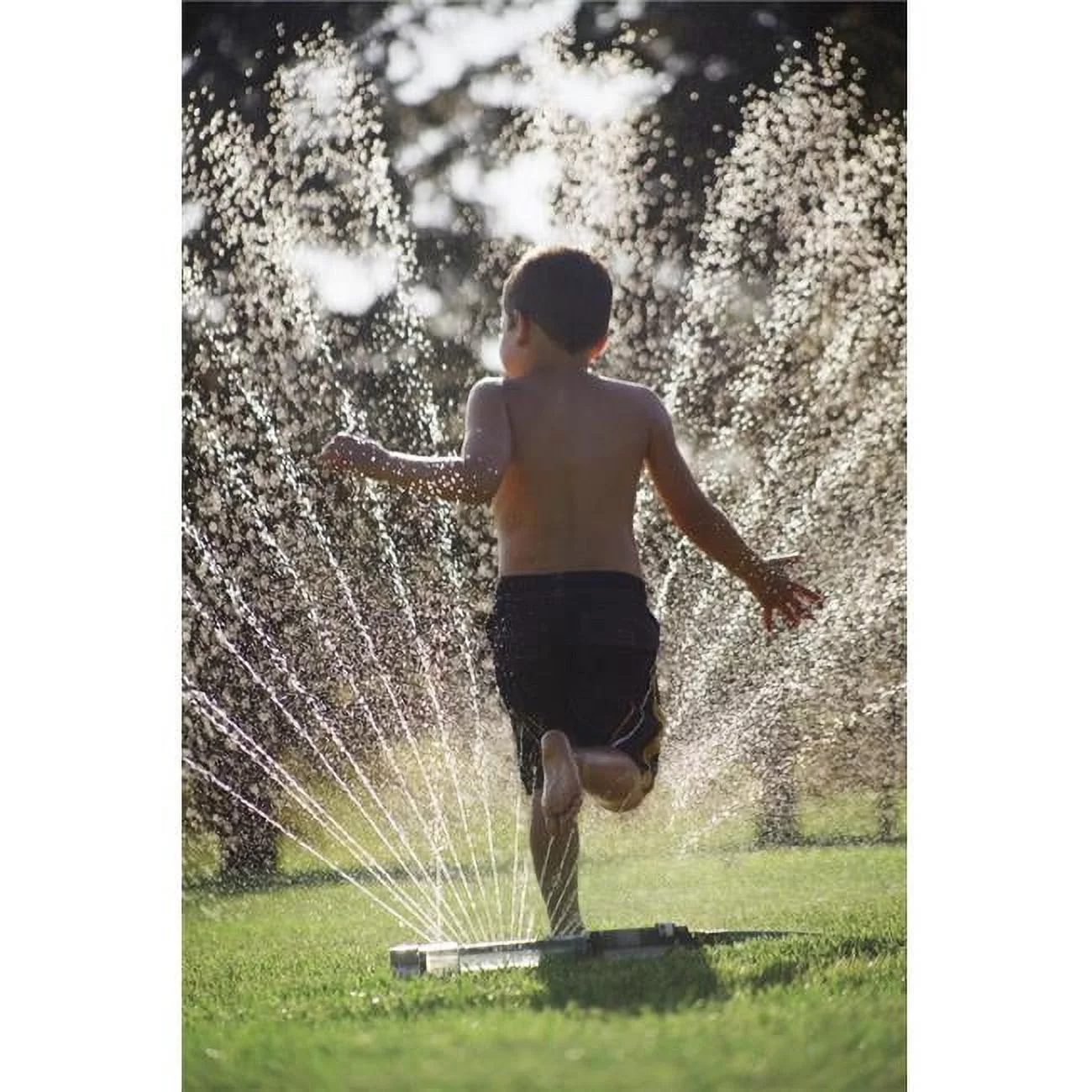 Running Through The Garden Sprinkler Poster Print by Kelly Redinger - 11 x 17