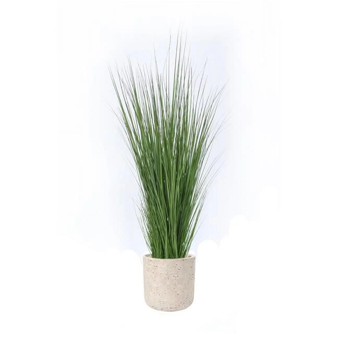 Unisex Grass in Grey Wash Pot - Green