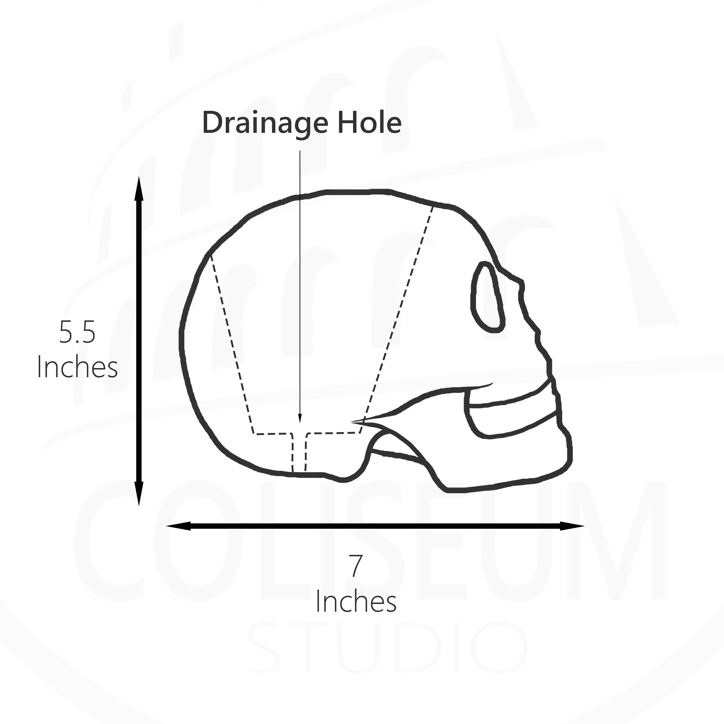 Coliseum Studio Skull Concrete Planter with Drainage - Handmade in The USA 7
