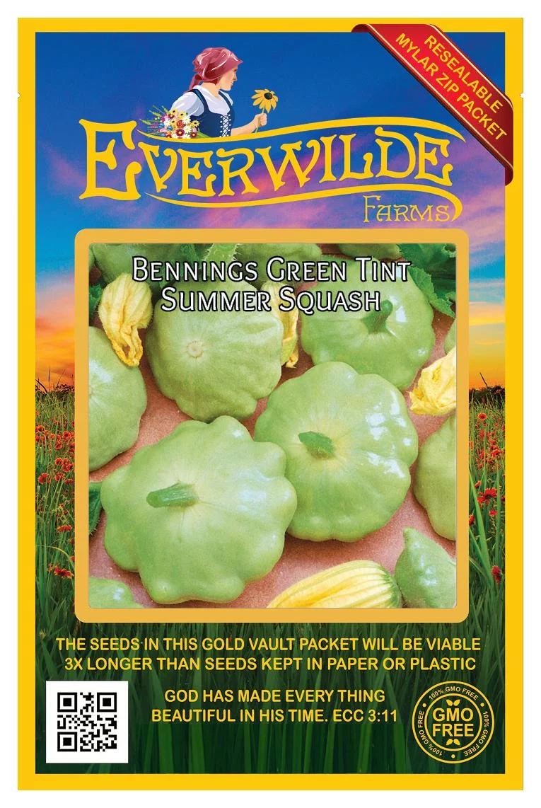 Everwilde Farms - 40 Bennings Green Tint Scallop Summer Squash Seeds - Gold Vault Jumbo Bulk Seed Packet