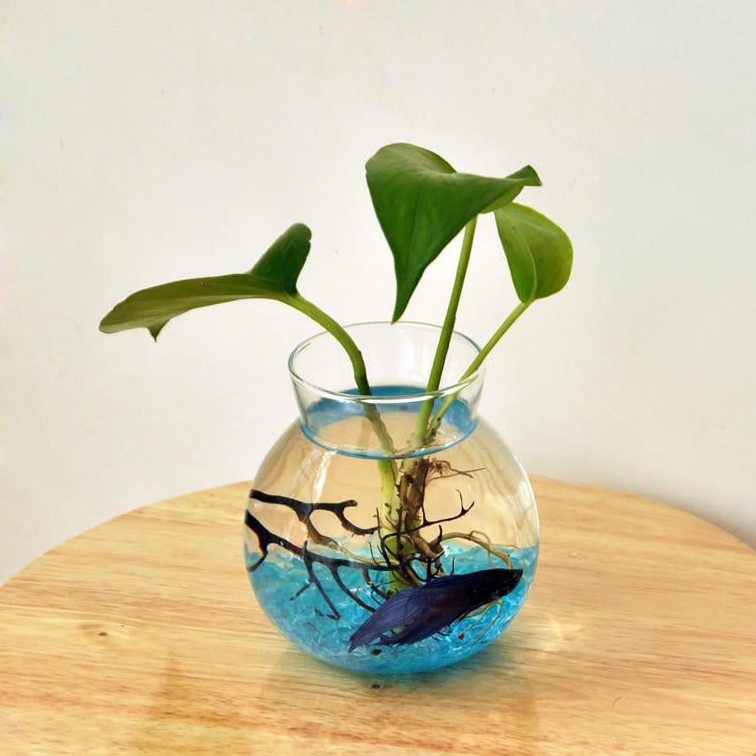 Vases Flower Planter Flower Bottle Tank Container Terrarium Home Table Decoration Clear