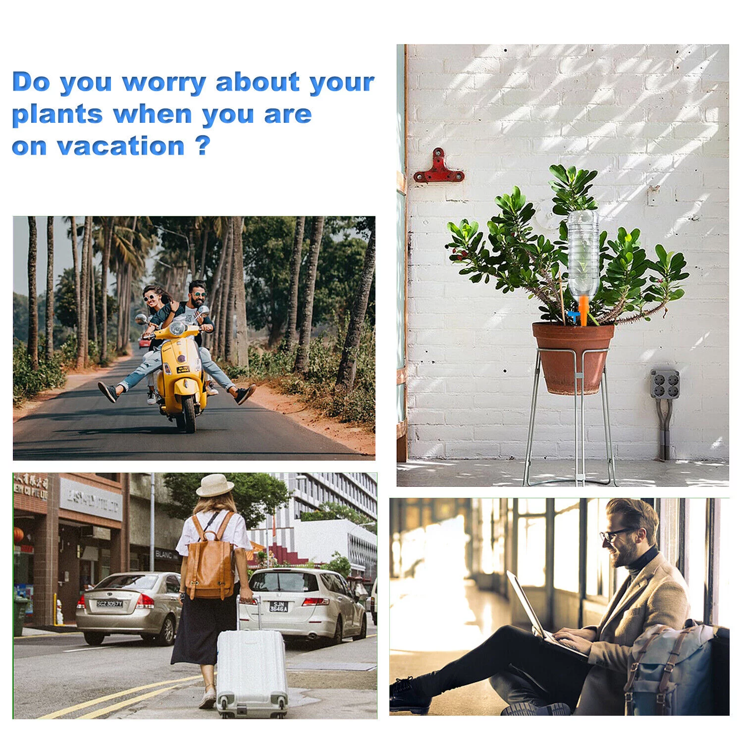 12/24/48 PCS Automatic Self Watering Spikes Plants Water Drip Irrigation System