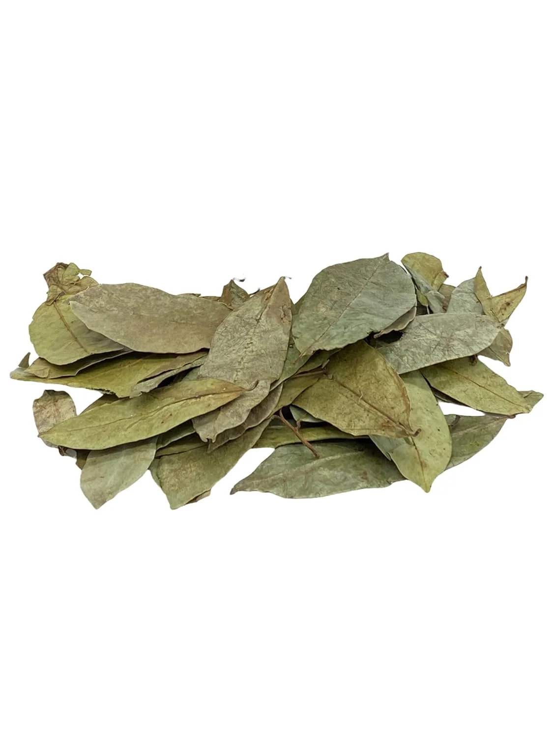 Whole Dried Graviola Soursop Leaves 1 LB (453g) Hoja De Guanabana Seca Bolsa de 1 Lb