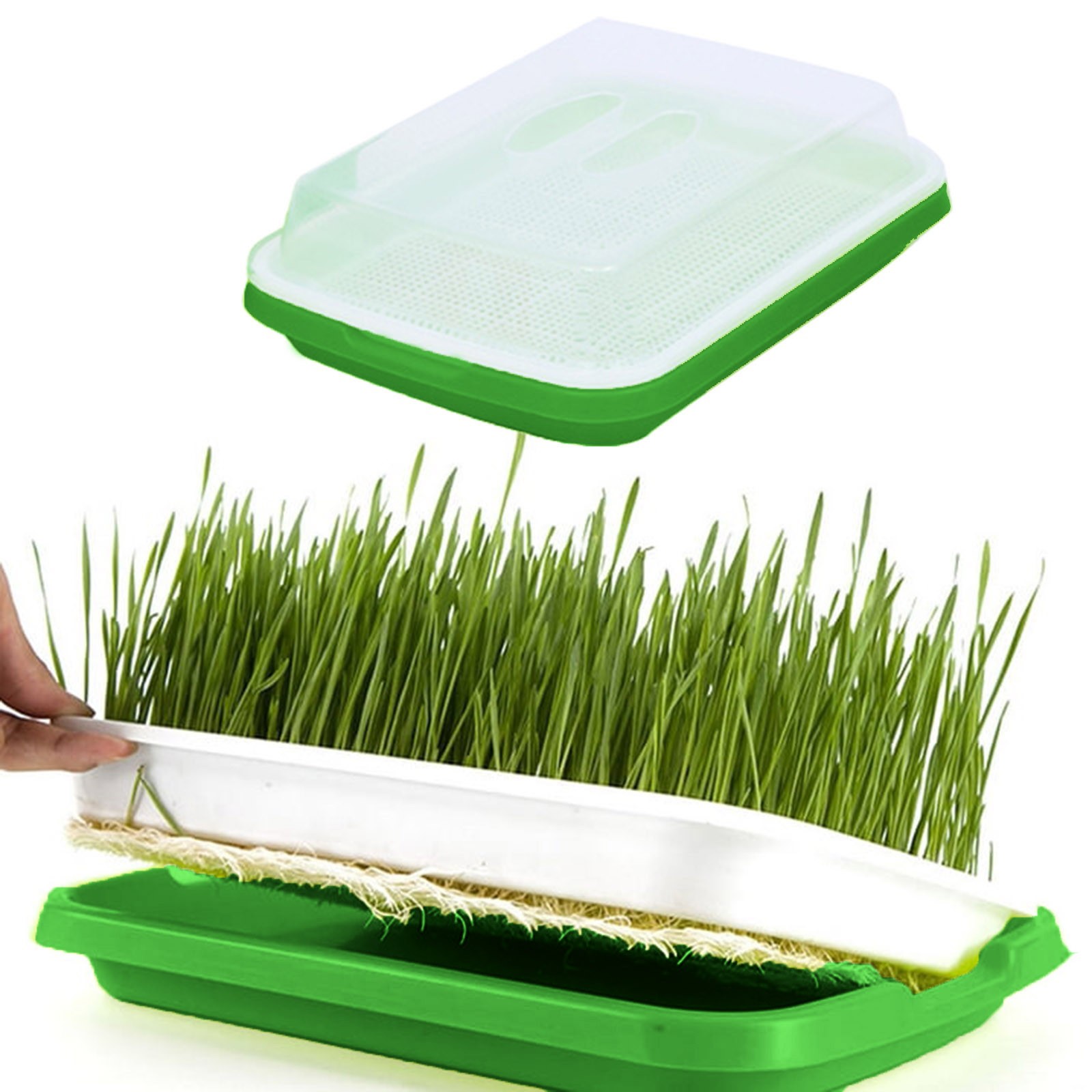 SIfdSeng Germination Trays with Lid Sprouter Tray Trays Hydroponics Growing Seedling Tray with Cover Sprout Seedling Tray Catgrass Wheat Tray Hydroponic Tray On Paper Hole Tray Encrypting 106