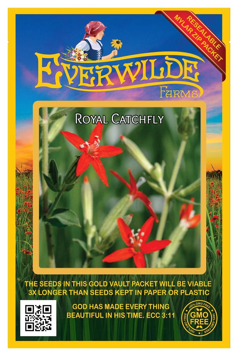 Everwilde Farms - 75 Royal Catchfly Native Wildflower Seeds - Gold Vault Jumbo Bulk Seed Packet