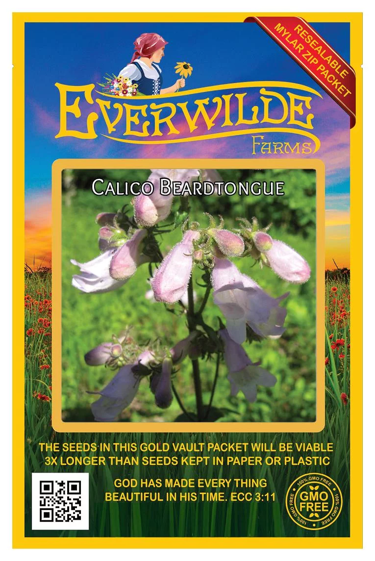 Everwilde Farms - 1000 Calico Beardtongue Native Wildflower Seeds - Gold Vault Jumbo Bulk Seed Packet