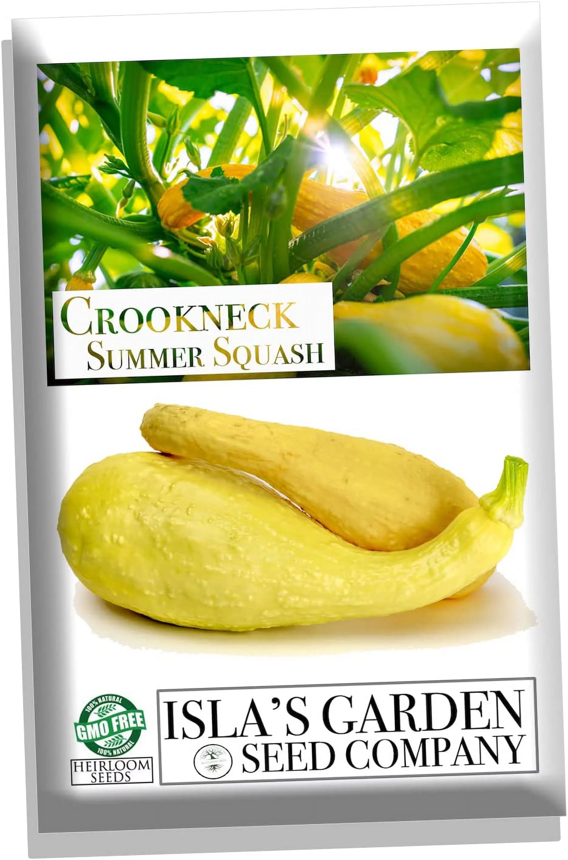Crookneck Summer Squash Seeds for Planting, 30+ Heirloom Seeds Per Packet Non GMO Seeds, Botanical Name Cucurbita moschata, Great Home Garden Gift