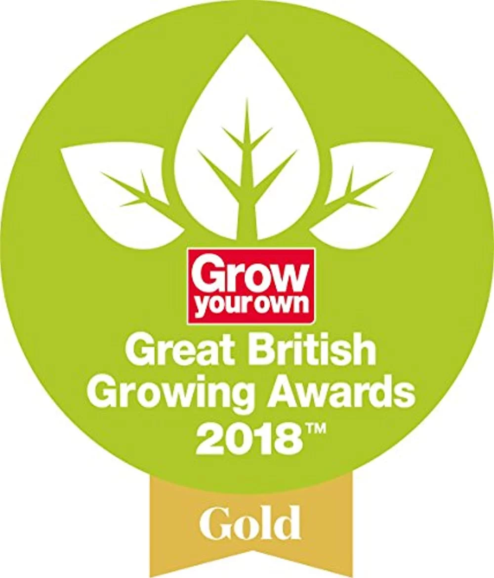 Spear & Jackson 5070DG Traditional Daisy Grubber