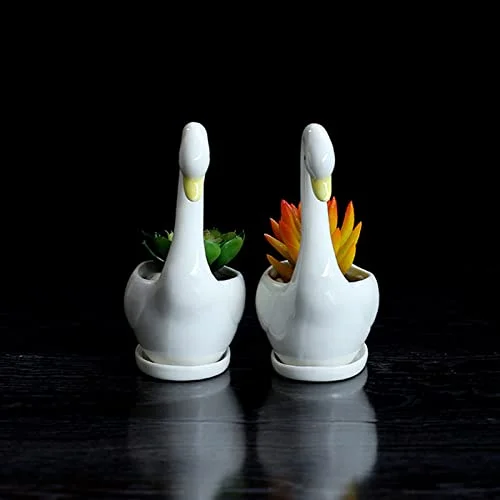2 Pack Small White Ceramic Pots for Succulents Cute Swan Shaped Succulent Planters with Drainage Tray 3 Inch Decorative Flower Pots for Indoor & Outdoor Succulent Cactus Plants