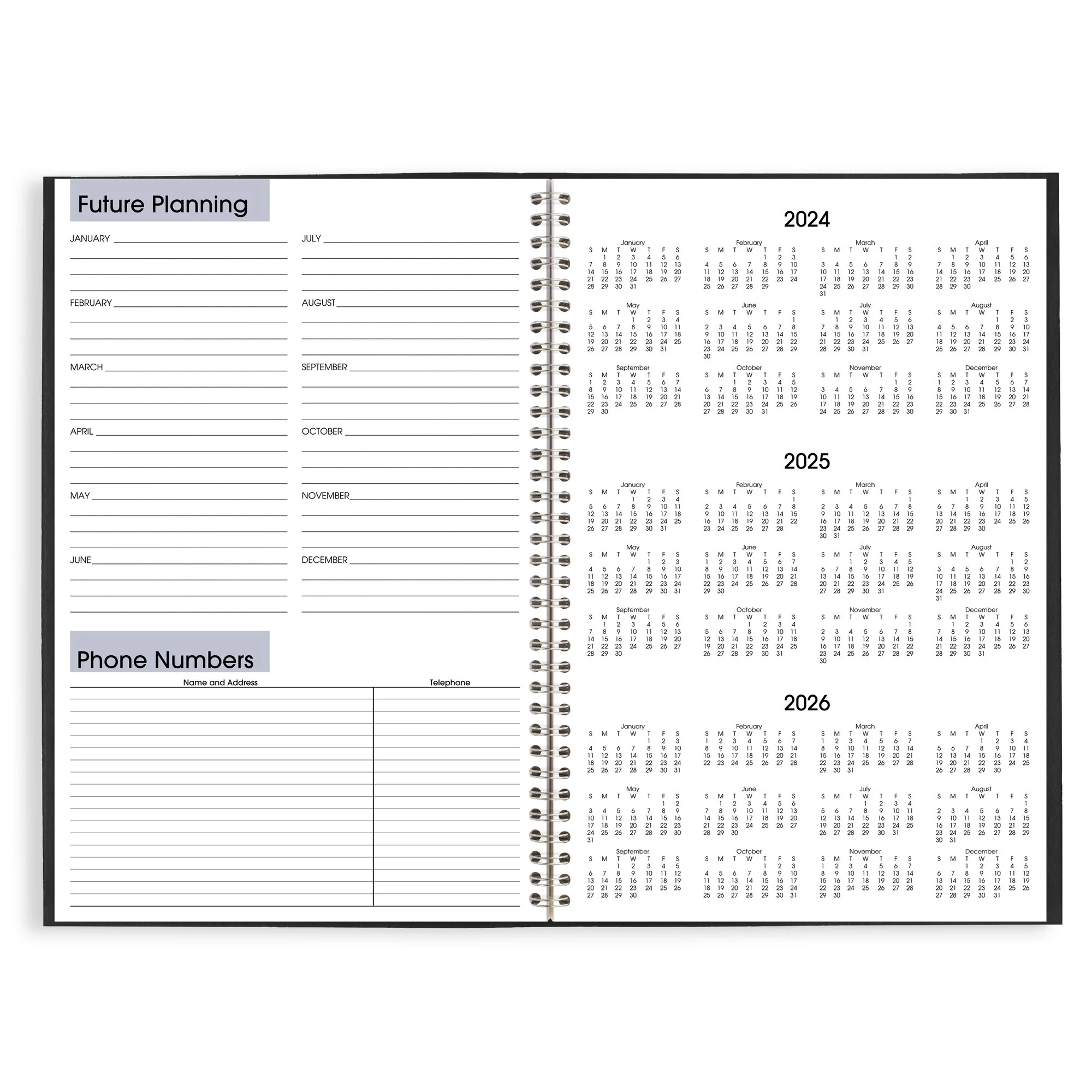 AT-A-GLANCE DayMinder 2025 Monthly Planner Black Large 8 x 12 - Monthly Planners