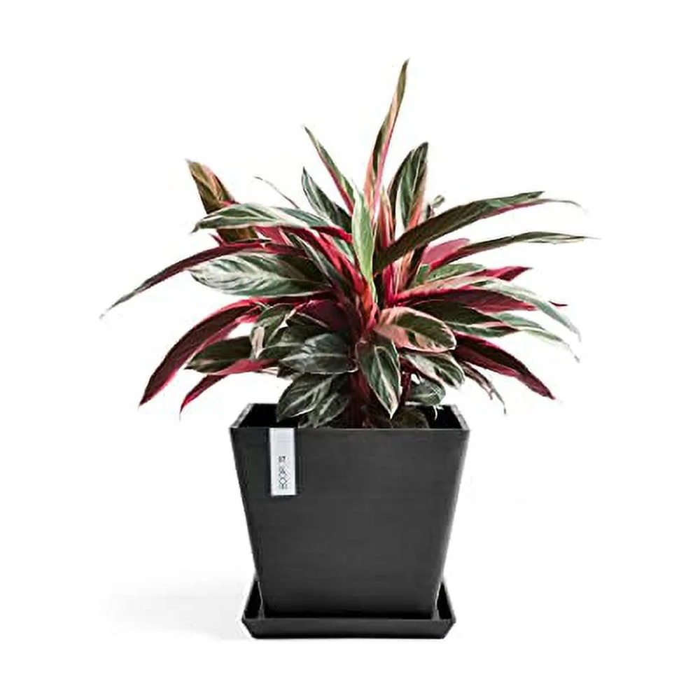 ECOPOTS Rotterdam 16IN Premium Sustainable Planter (w/Saucer)