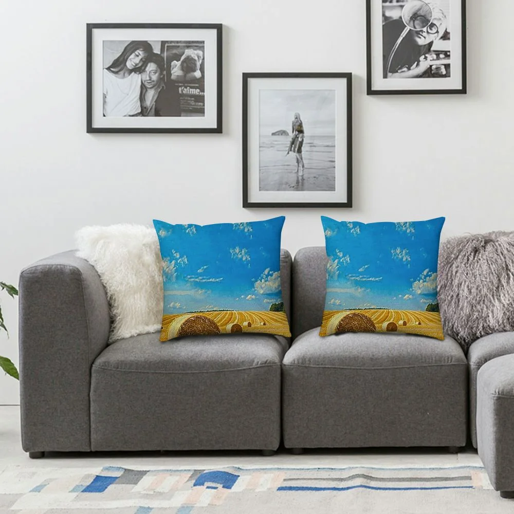 Ollo0ord Throw Pillow Cover Forest Blue Landscape Countryside Summer Hay Sun Mettmann Idyll Bales On Field Parks North Outdoor Comfortable Decorative Cushion Pillowcase for Chair Inch White