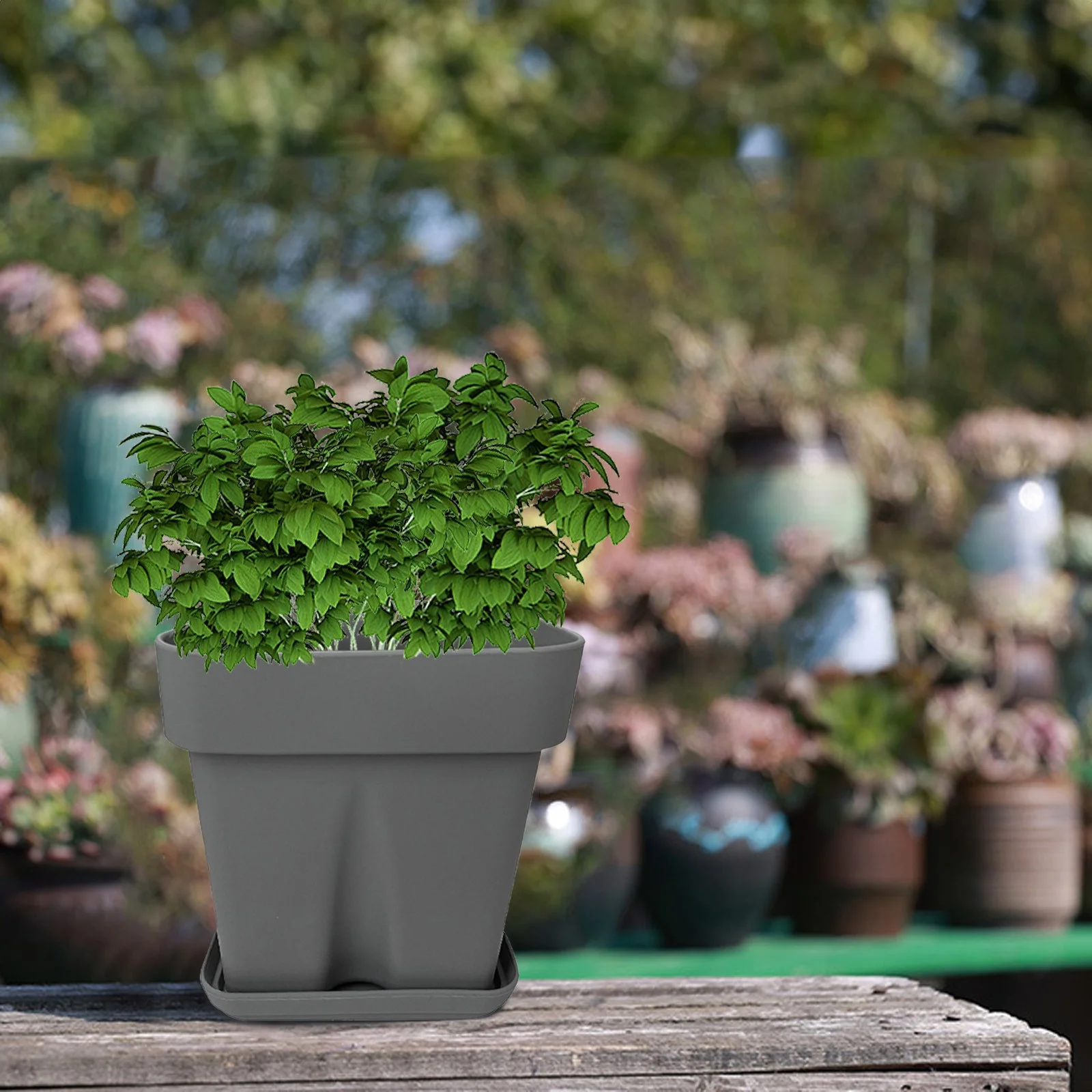 Uqiangy Square Pots Flower Plant Pots with Tray Reusable Seedling Pots Starter Pots Outdoor Indoor Plants Pots (Grey)