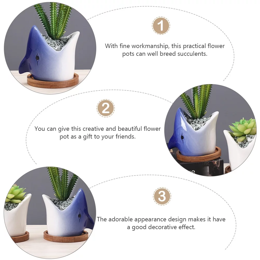 Cartoon Succulent Plant Pots Gardening Flowerpot Unique Ceramic Planter