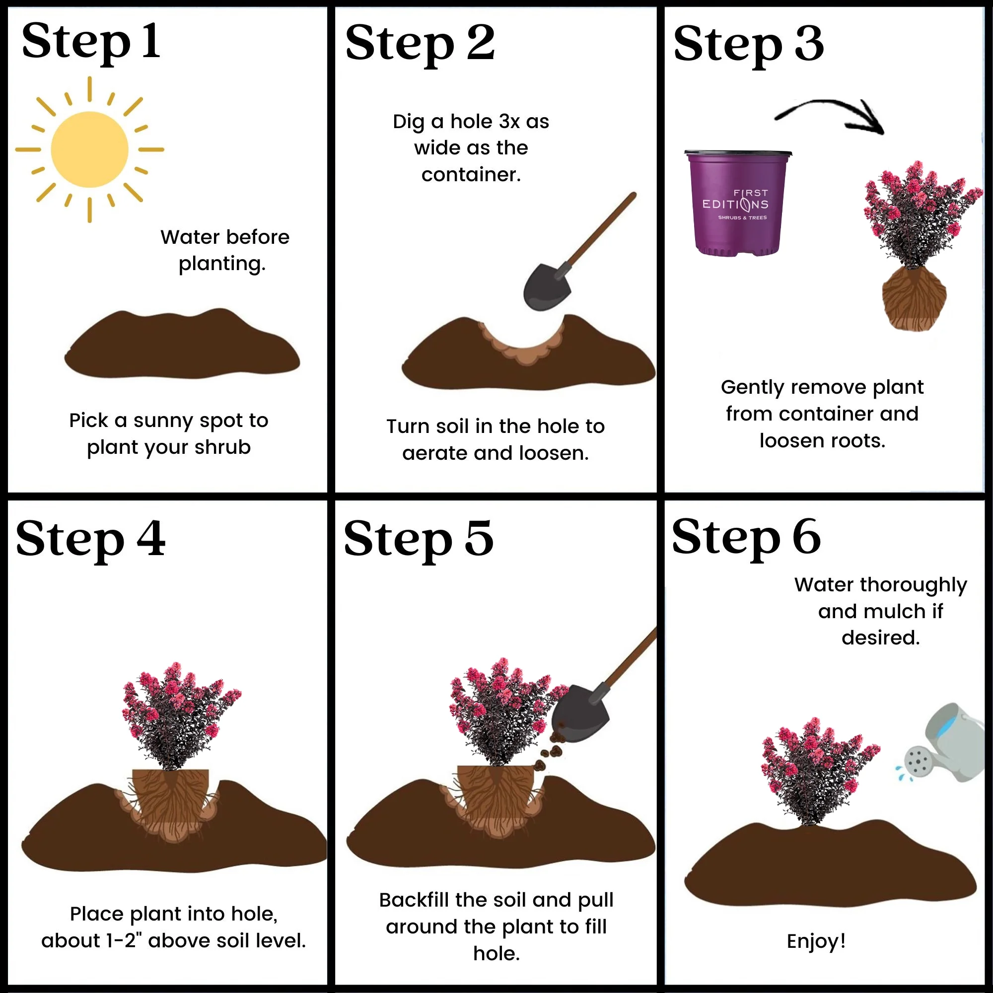 First Editions Midnight Magic Crape Myrtle Live Shrubs (2 Gallon)