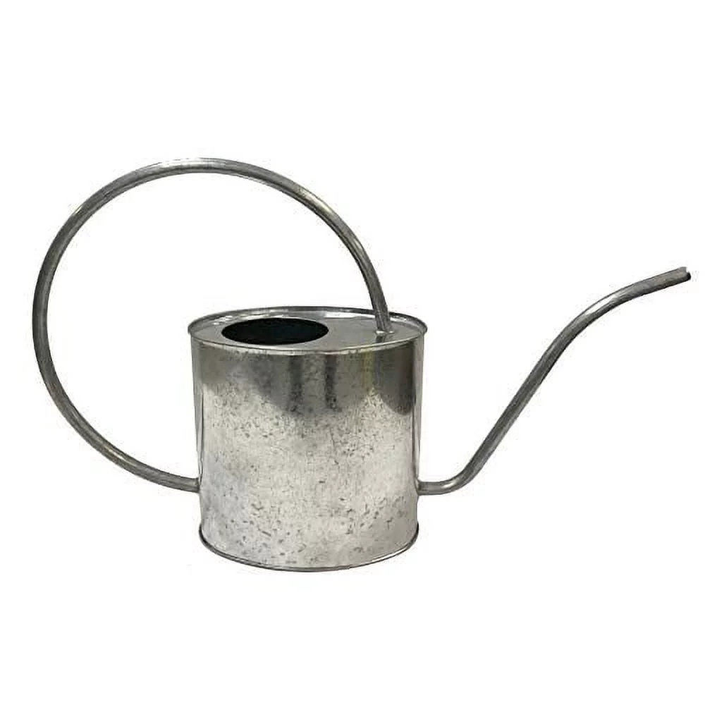 (W2K08PG) Metal Watering Can - Indoor & Outdoor Watering With Handle & Long Spout For Flowers/Plants (2 Liter, Galvanized)