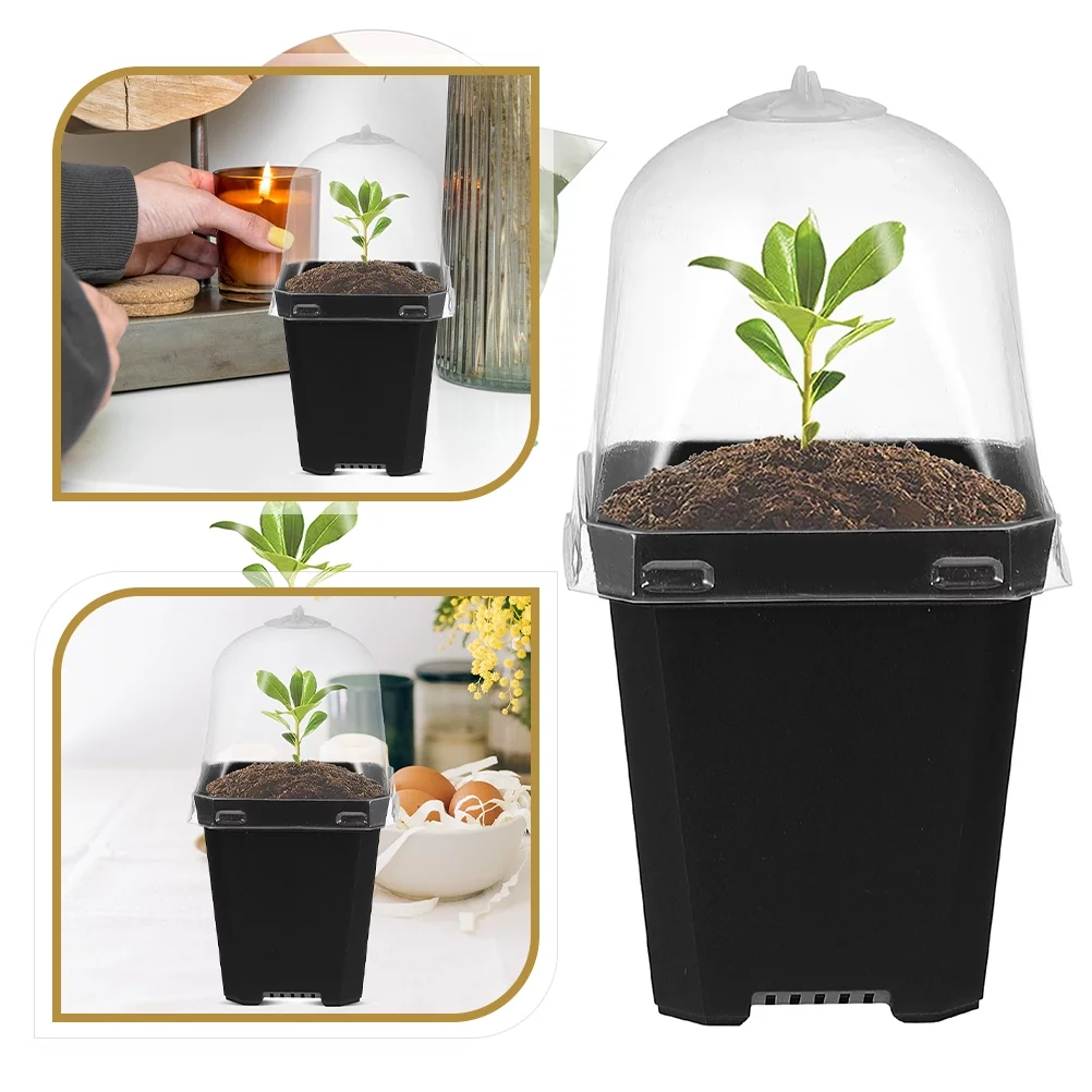 12 Sets Stuffy Flower Pots Planter Pots Small Containers Nursery Starting Pot Small Plant Gardening Flowerpot