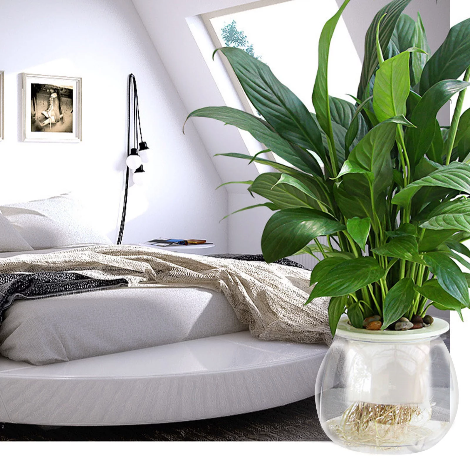 Self Watering Planter Violet Pots Clear Automatic Watering Planter Flower Pot Pot For All House