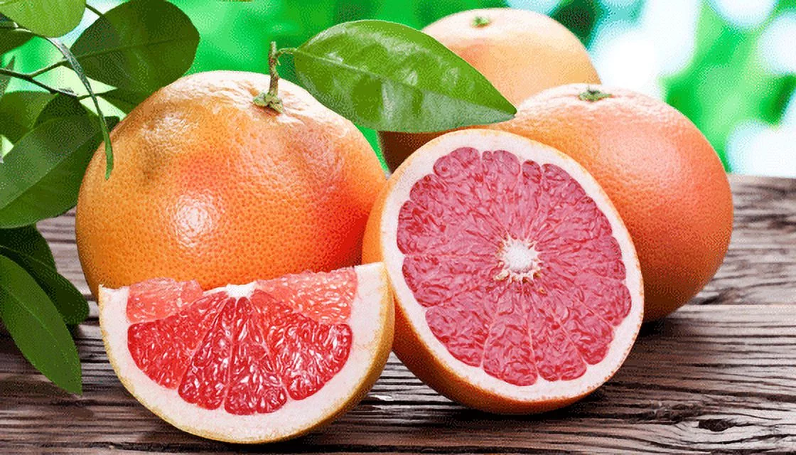 Fresh Organic Grapefruit, 4 lb Bag