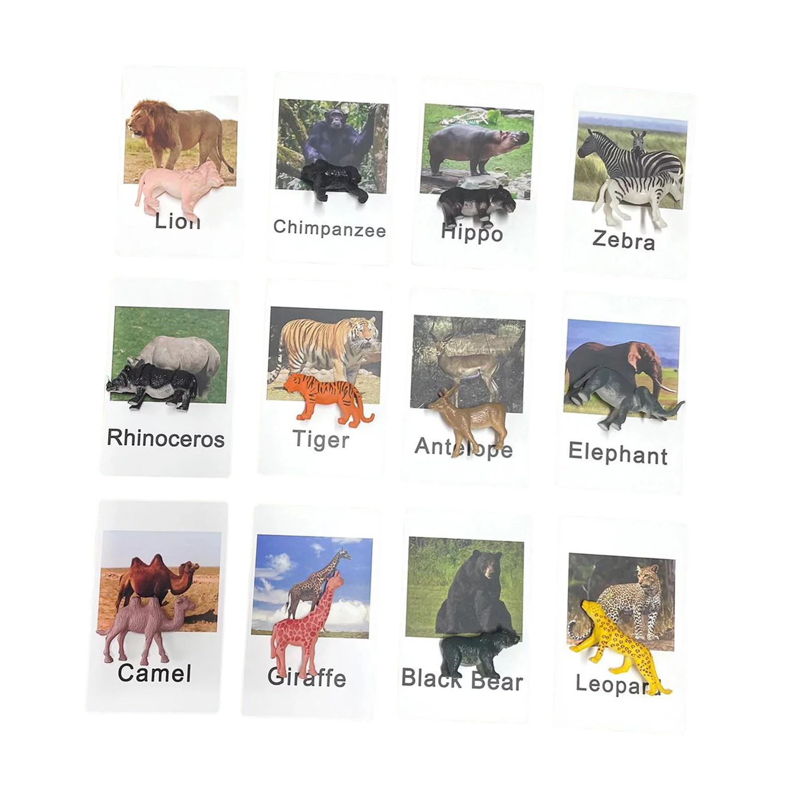 12 Pieces Montessori Animal Matching Game Playset Teaching Aid Sensory Toys with