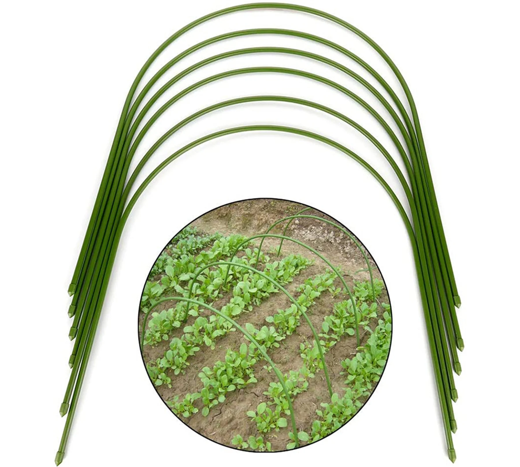 Greenhouse Hoops,6 Pack