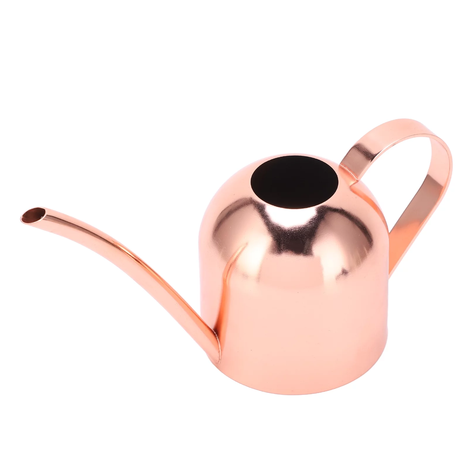 Fyearfly Metal Garden Watering Can, 450ML Stainless Steel Long Spout Watering Can Portable Gardening Watering Pot Kettle for Garden House Plants Bonsai