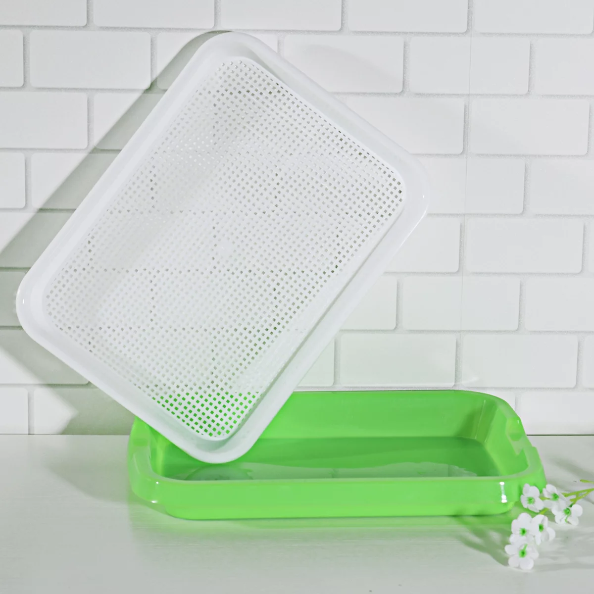 Sprouter Tray Soil-Free Food Grade Plastic Wheatgrass Mung Bean Sprouting Growing Tray