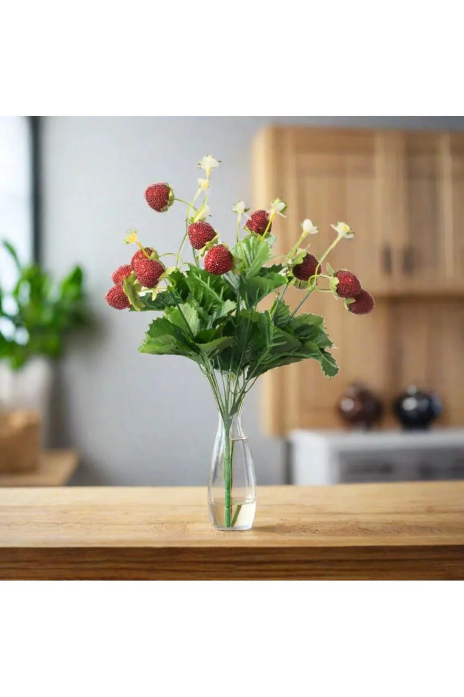 13 Strawberry  Fern Bush